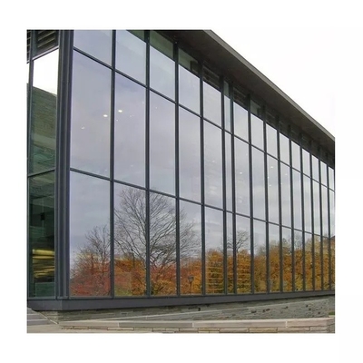 Aluminium Frame Window Glass Unit Gordijngevel Modern Residentieel