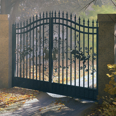 Het moderne Ontwerp Front Door, Gegalvaniseerde Smeedijzerhoofdingang van de Huisgrill