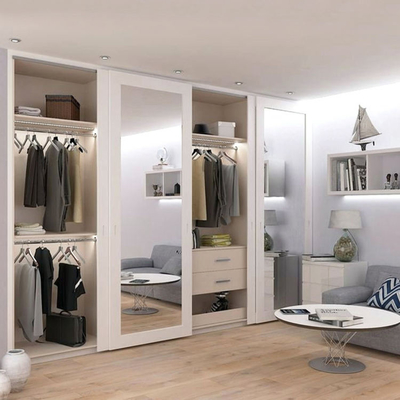 Van het de Kasthuis van de douane Dubbele Kast van de de Slaapkamer Glijdende Spiegel de Deurgarderobe
