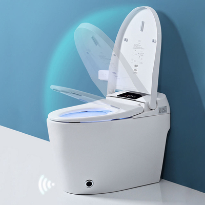 Van de Sensor Elektrisch Automatisch Gelijk WC van de luxebadkamers het Bidet Intelligent Slim Toilet