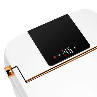 Van de Sensor Elektrisch Automatisch Gelijk WC van de luxebadkamers het Bidet Intelligent Slim Toilet