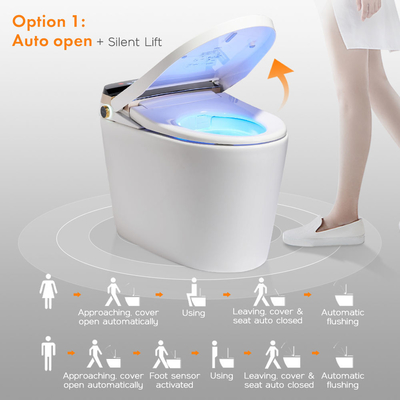 Van de Sensor Elektrisch Automatisch Gelijk WC van de luxebadkamers het Bidet Intelligent Slim Toilet
