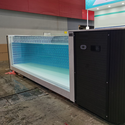 ZIJNZWEMBEZEN met ramen douche huis spa staalconstructie zwembad