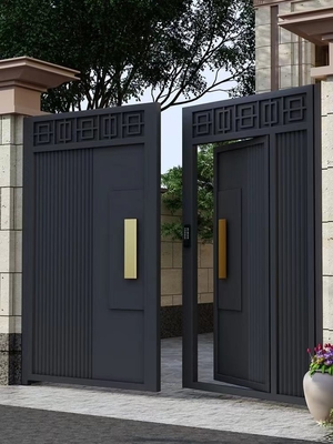 Buitenversiering Zwarte ingang Dubbele deur van roestvrij staal