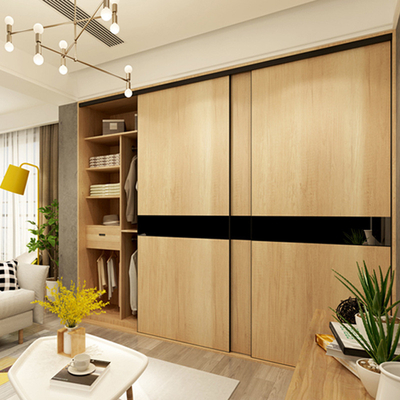 In Stevige Houten Gang in de Garderobes van Mirror Sliding Doors van de Kastorganisator voor Kleren