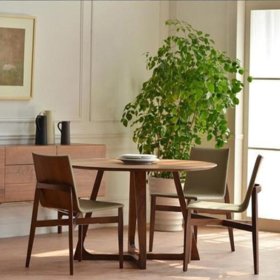Dia 120cm Ronde Houten die Eettafel en Stoel voor Binnenplaatsvilla wordt geplaatst