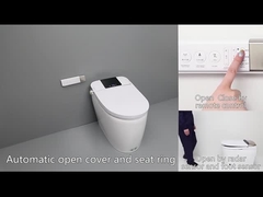 Van de Sensor Elektrisch Automatisch Gelijk WC van de luxebadkamers het Bidet Intelligent Slim Toilet